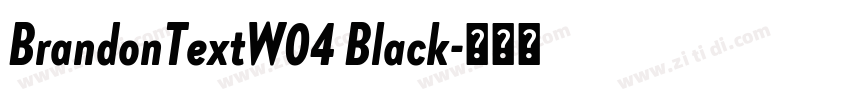 BrandonTextW04 Black字体转换